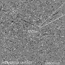 CME