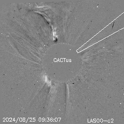 CME
